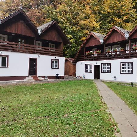 Hotel Fontana Erdelyi Vendeghaz 2 à Satu Mare  Extérieur photo