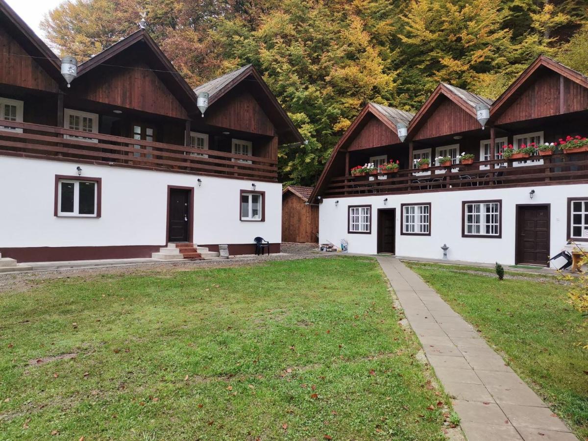 Hotel Fontana Erdelyi Vendeghaz 2 à Satu Mare  Extérieur photo